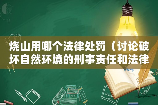 燒山用哪個法律處罰（討論破壞自然環(huán)境的刑事責任和法律制裁）