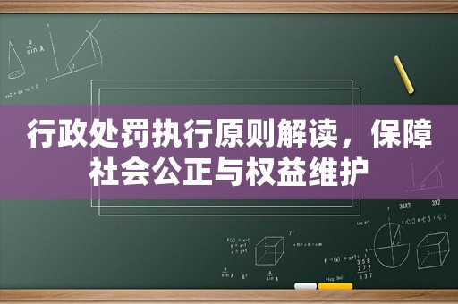 行政處罰執(zhí)行原則解讀，保障社會公正與權(quán)益維護