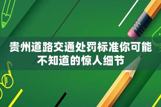 貴州道路交通處罰標(biāo)準(zhǔn)你可能不知道的驚人細(xì)節(jié)