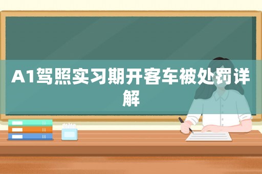 A1駕照實習期開客車被處罰詳解