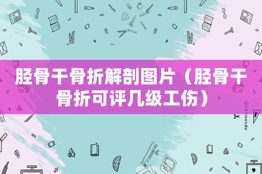 脛骨干骨折解剖圖片（脛骨干骨折可評(píng)幾級(jí)工傷）