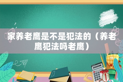 家養(yǎng)老鷹是不是犯法的（養(yǎng)老鷹犯法嗎老鷹）