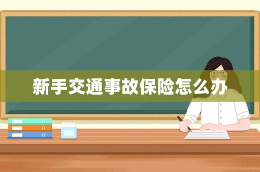 新手交通事故保險怎么辦