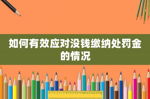 如何有效應(yīng)對沒錢繳納處罰金的情況