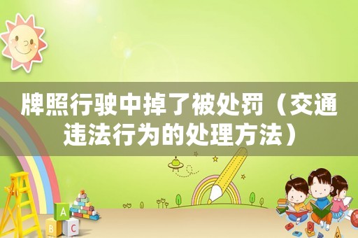 牌照行駛中掉了被處罰（交通違法行為的處理方法）