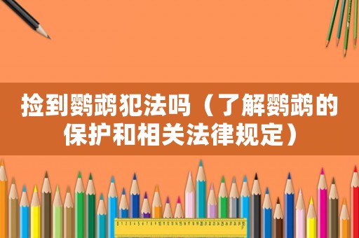 撿到鸚鵡犯法嗎（了解鸚鵡的保護(hù)和相關(guān)法律規(guī)定）
