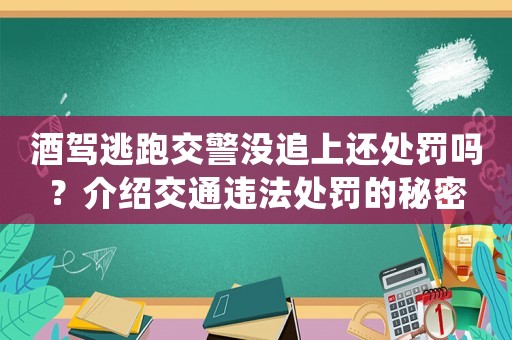 酒駕逃跑交警沒追上還處罰嗎？介紹交通違法處罰的秘密