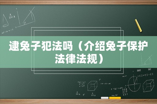 逮兔子犯法嗎（介紹兔子保護(hù)法律法規(guī)）