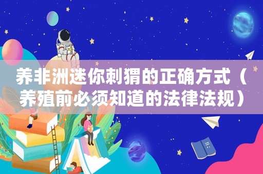 養(yǎng)非洲迷你刺猬的正確方式（養(yǎng)殖前必須知道的法律法規(guī)）