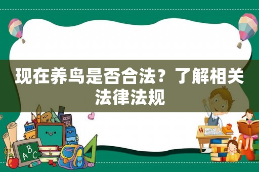 現(xiàn)在養(yǎng)鳥是否合法？了解相關法律法規(guī)