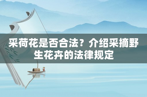 采荷花是否合法？介紹采摘野生花卉的法律規(guī)定