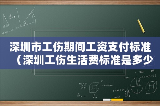 深圳市工傷期間工資支付標(biāo)準(zhǔn)（深圳工傷生活費(fèi)標(biāo)準(zhǔn)是多少）