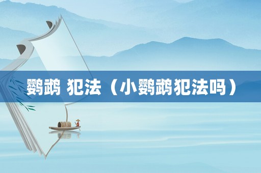 鸚鵡 犯法（小鸚鵡犯法嗎）