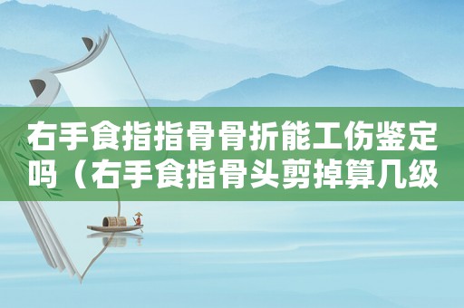 右手食指指骨骨折能工傷鑒定嗎（右手食指骨頭剪掉算幾級(jí)工傷）