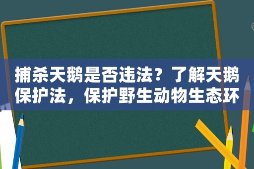捕殺天鵝是否違法？了解天鵝保護(hù)法，保護(hù)野生動物生態(tài)環(huán)境