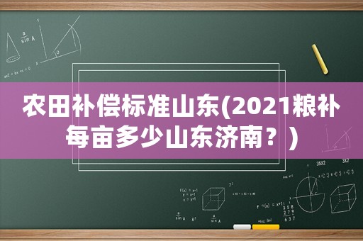 農(nóng)田補(bǔ)償標(biāo)準(zhǔn)山東(2021糧補(bǔ)每畝多少山東濟(jì)南？)