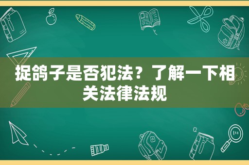 捉鴿子是否犯法？了解一下相關(guān)法律法規(guī)