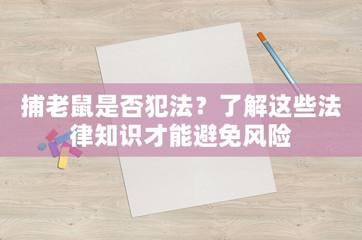 捕老鼠是否犯法？了解這些法律知識才能避免風險