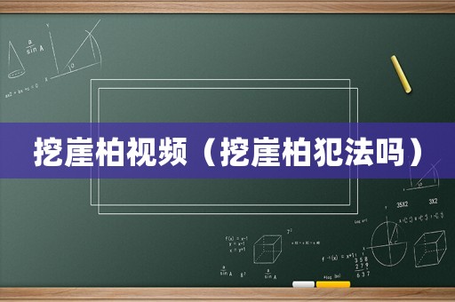 挖崖柏視頻（挖崖柏犯法嗎）