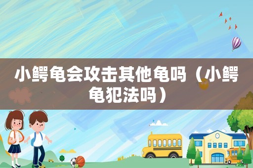 小鱷龜會(huì)攻擊其他龜嗎（小鱷龜犯法嗎）
