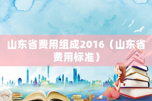 山東省費用組成2016（山東省費用標準）