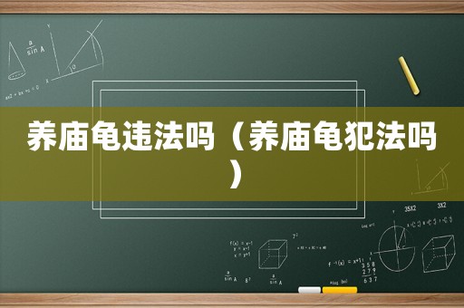 養(yǎng)廟龜違法嗎（養(yǎng)廟龜犯法嗎）