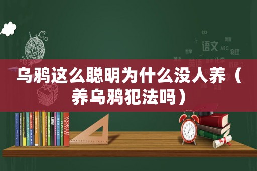烏鴉這么聰明為什么沒人養(yǎng)（養(yǎng)烏鴉犯法嗎）