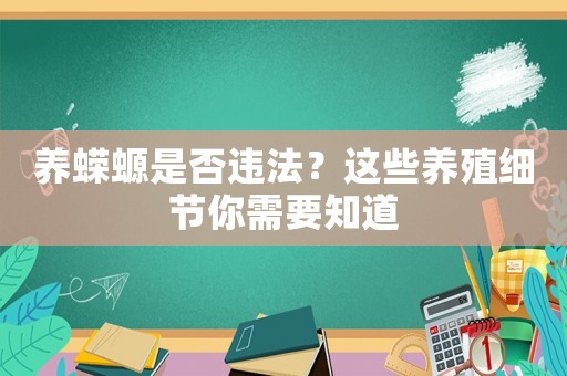 養(yǎng)蠑螈是否違法？這些養(yǎng)殖細節(jié)你需要知道