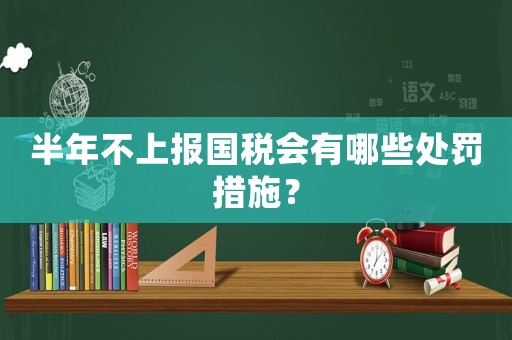 半年不上報(bào)國稅會(huì)有哪些處罰措施？