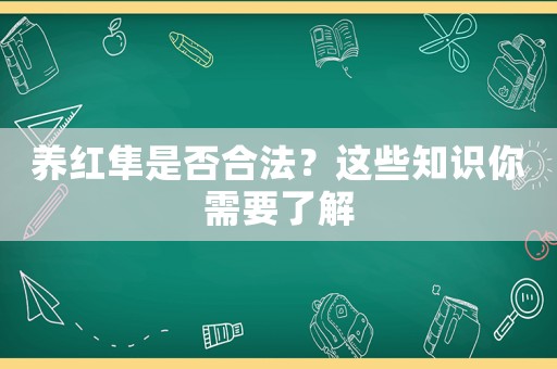 養(yǎng)紅隼是否合法？這些知識(shí)你需要了解