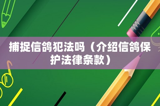 捕捉信鴿犯法嗎（介紹信鴿保護(hù)法律條款）