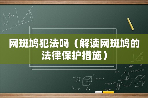 網(wǎng)斑鳩犯法嗎（解讀網(wǎng)斑鳩的法律保護措施）