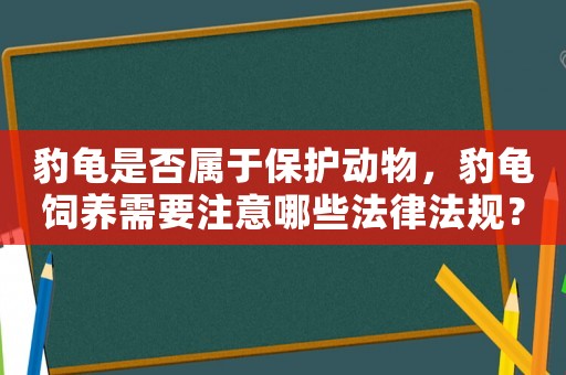 豹龜是否屬于保護(hù)動物，豹龜飼養(yǎng)需要注意哪些法律法規(guī)？