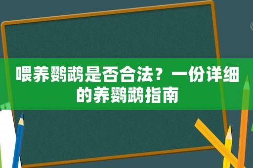 喂養(yǎng)鸚鵡是否合法？一份詳細(xì)的養(yǎng)鸚鵡指南
