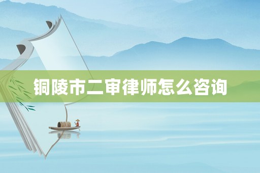 銅陵市二審律師怎么咨詢