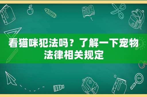 看貓咪犯法嗎？了解一下寵物法律相關(guān)規(guī)定