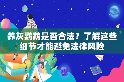 養(yǎng)灰鸚鵡是否合法？了解這些細(xì)節(jié)才能避免法律風(fēng)險(xiǎn)