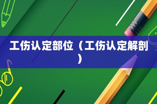 工傷認(rèn)定部位（工傷認(rèn)定解剖）
