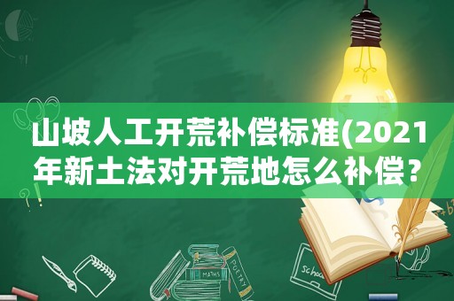 山坡人工開荒補(bǔ)償標(biāo)準(zhǔn)(2021年新土法對開荒地怎么補(bǔ)償？)