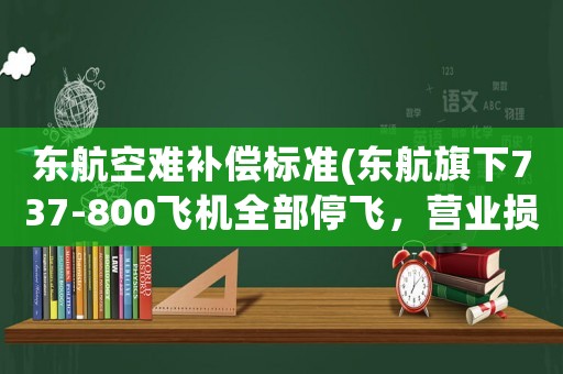 東航空難補(bǔ)償標(biāo)準(zhǔn)(東航旗下737-800飛機(jī)全部停飛，營(yíng)業(yè)損失，航空保險(xiǎn)賠嗎)