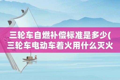 三輪車自燃補(bǔ)償標(biāo)準(zhǔn)是多少(三輪車電動(dòng)車著火用什么滅火器？)