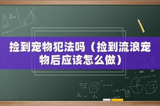 撿到寵物犯法嗎（撿到流浪寵物后應(yīng)該怎么做）