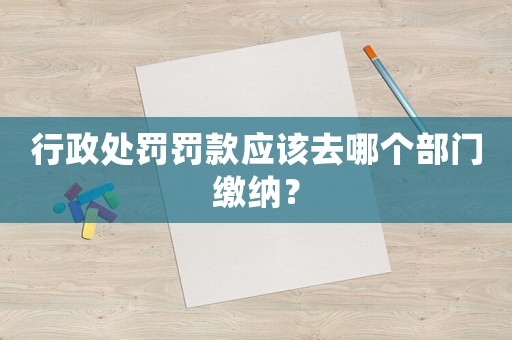 行政處罰罰款應(yīng)該去哪個(gè)部門繳納？