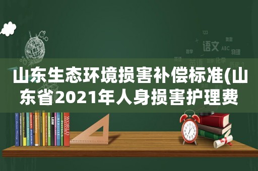 山東生態(tài)環(huán)境損害補(bǔ)償標(biāo)準(zhǔn)(山東省2021年人身?yè)p害護(hù)理費(fèi)賠償標(biāo)準(zhǔn)？)