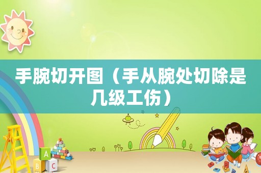手腕切開(kāi)圖（手從腕處切除是幾級(jí)工傷）