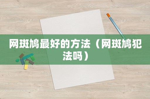 網(wǎng)斑鳩最好的方法（網(wǎng)斑鳩犯法嗎）
