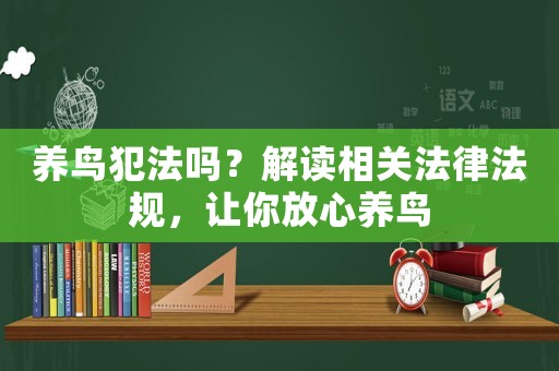 養(yǎng)鳥犯法嗎？解讀相關(guān)法律法規(guī)，讓你放心養(yǎng)鳥