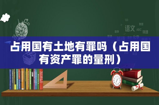 占用國有土地有罪嗎（占用國有資產(chǎn)罪的量刑）