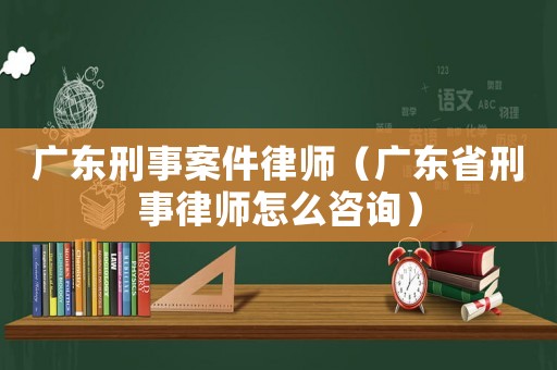廣東刑事案件律師（廣東省刑事律師怎么咨詢）