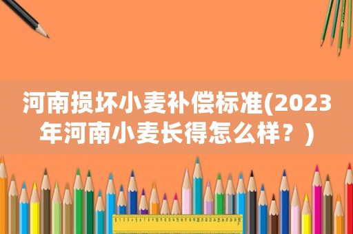 河南損壞小麥補(bǔ)償標(biāo)準(zhǔn)(2023年河南小麥長得怎么樣？)